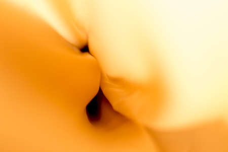 yellow curtainsの写真素材
