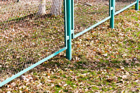 background of autumn leaves at the chain-link fence. colorful fall leaves are illuminated by sunlight and lying at the fenceの写真素材