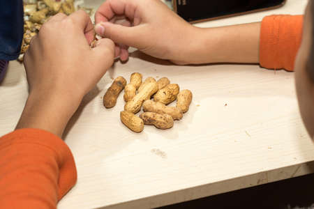 peanutの写真素材