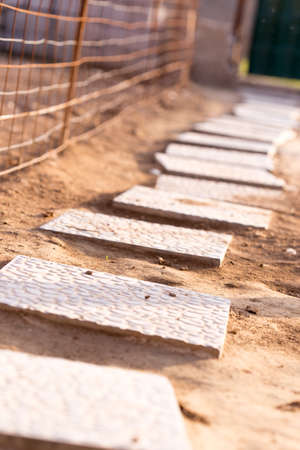 tile pavement in the yardの写真素材