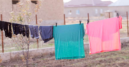Laundry hanging in a gardenの写真素材