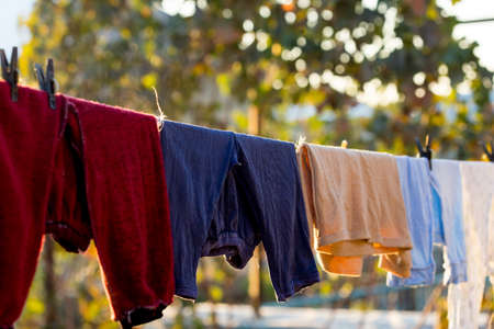 Laundry hanging in a gardenの写真素材
