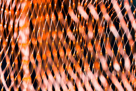 macro red mesh bagの写真素材