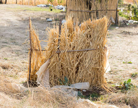 house of reeds on the fieldの写真素材