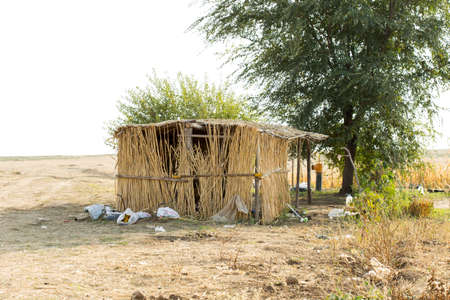 house of reeds on the fieldの写真素材