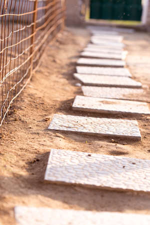 tile pavement in the yardの写真素材