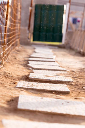 tile pavement in the yardの写真素材