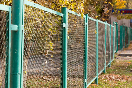 background of autumn leaves at the chain-link fence. colorful fall leaves are illuminated by sunlight and lying at the fenceの写真素材