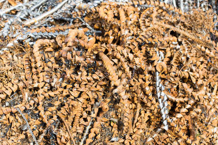 silver spirals of metal shavings as garbage, texture of different size of metal spirals shavings texture, metal shavings textureの写真素材