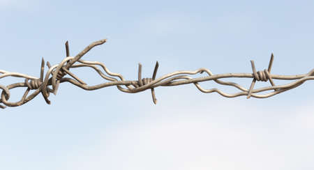 barbed wires against blue sky.の写真素材