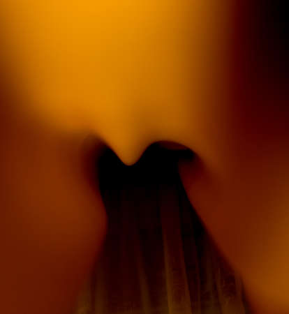 yellow curtainsの写真素材
