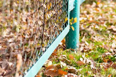 background of autumn leaves at the chain-link fence. colorful fall leaves are illuminated by sunlight and lying at the fenceの写真素材