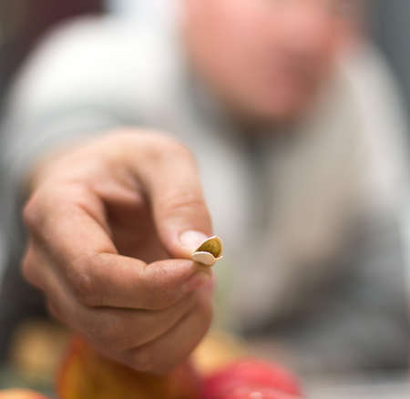 Pumpkin seeds in handの写真素材