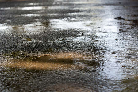 Raindrops on the city sidewalkの写真素材