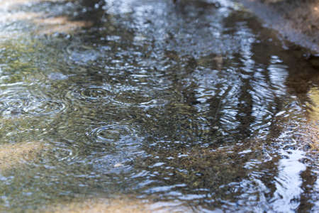 Raindrops on the waterの写真素材