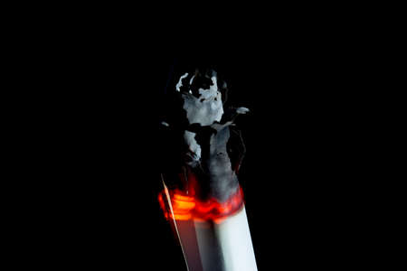 flammable paper as a rose flower on a black backgroundの写真素材