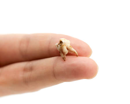 tooth handsの写真素材