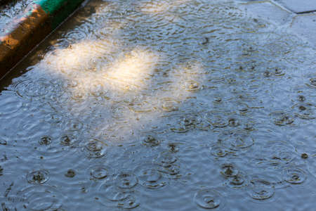 Raindrops on the water