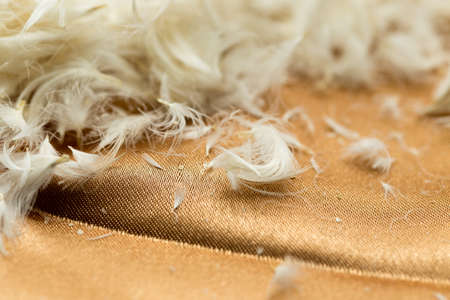 Fluff on cloth