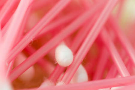 Ear sticksの写真素材