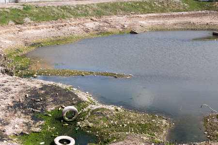 Dirty lake in the suburbsの写真素材