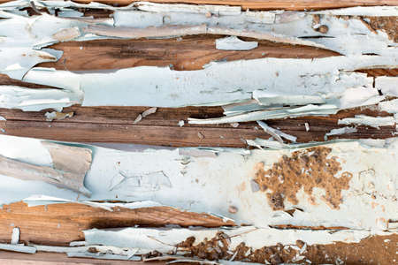 Old paint on a wooden door