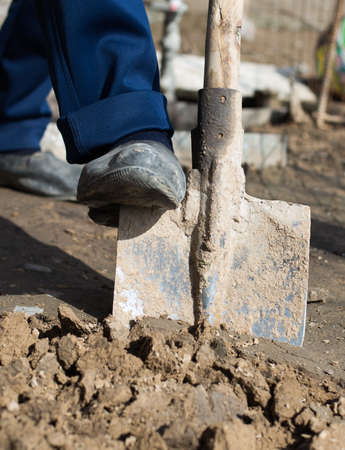Spring work in the garden with a shovelの写真素材