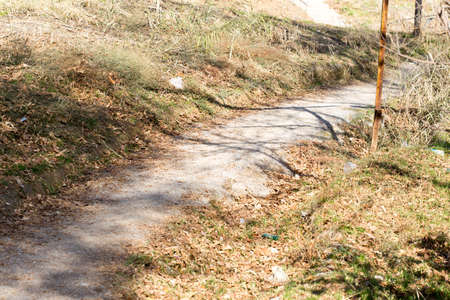 trail in the village