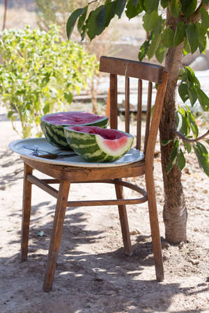 watermelon in the context ofの写真素材