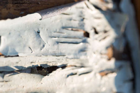 Old paint on a wooden doorの写真素材