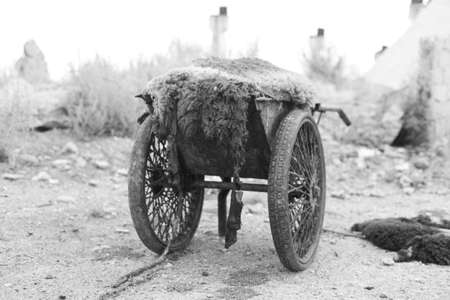 Old two-wheeled transport for waste transport in the slaughterhouseの写真素材