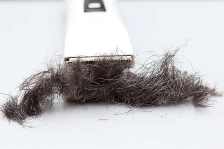 Tools for hair and parts of hairの写真素材