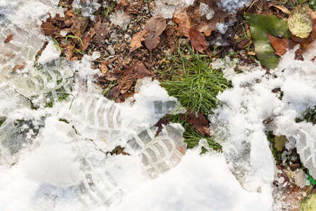 snow on the ground in nature
