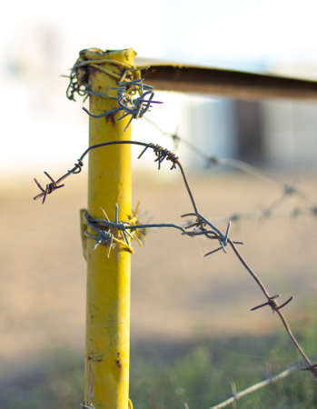 Yellow iron pipe with barbed wireの写真素材