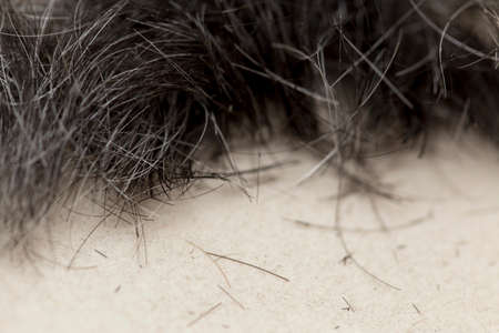 Hair on the floor in the hairdresser'sの写真素材