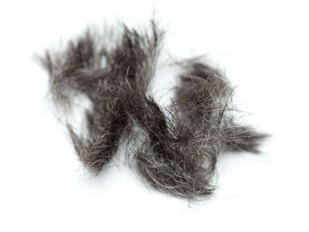 Hair on the floor in the hairdresser'sの写真素材