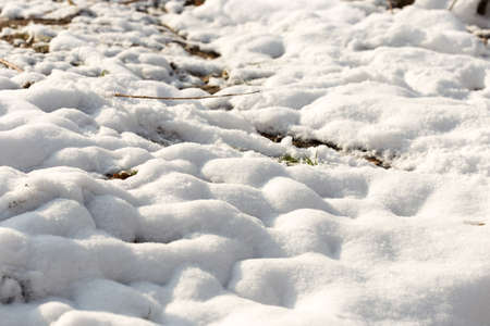 snow on the ground in natureの写真素材