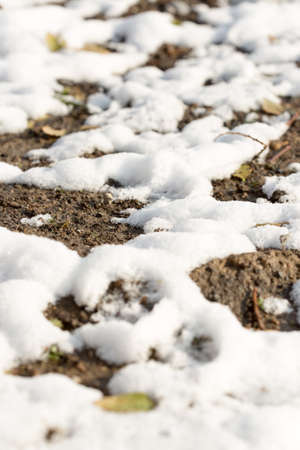 snow on the ground in natureの写真素材