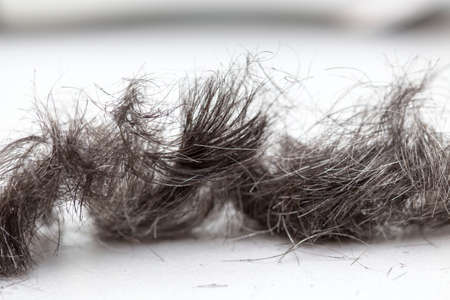 Hair on the floor in the hairdresser's