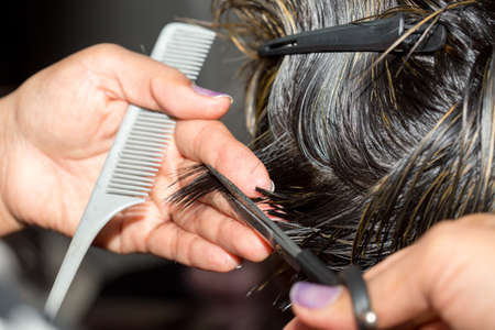 Closeup macro shot image of hairstylist hairdresser cutting customer woman hair in salon with scissors and comb, look from behind back sideの写真素材