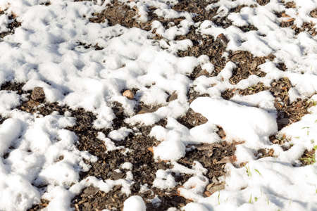 fields under snowの写真素材