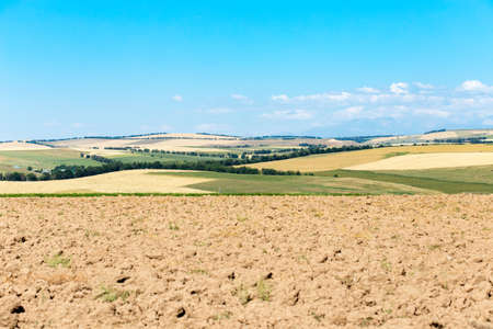 Endless golden color kazakh grass landscapeの写真素材