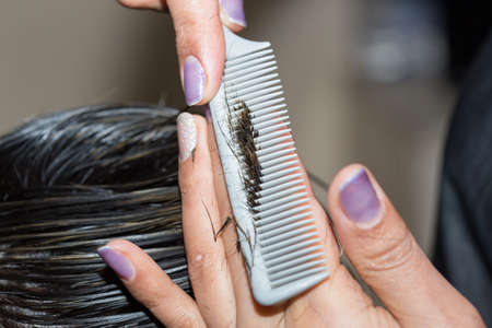 Closeup macro shot image of hairstylist hairdresser cutting customer woman hair in salon with scissors and comb, look from behind back sideの写真素材