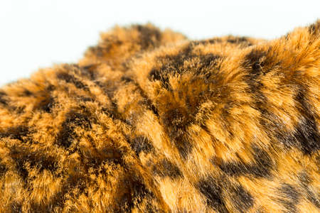 close up tiger skin textureの写真素材