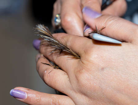 Closeup macro shot image of hairstylist hairdresser cutting customer woman hair in salon with scissors and comb, look from behind back sideの写真素材