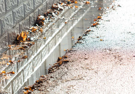 Sidewalk with autumn leaves and rain puddle