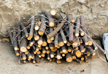 A stack of firewood close upの写真素材
