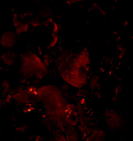 burning charcoal in the background