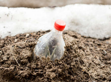 flower closed plastic bottles so as not to freeze in the winter