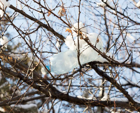plastic bottle hanging on the tree in winter